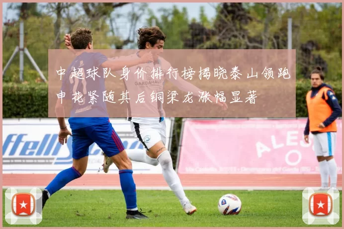 中超球队身价排行榜揭晓泰山领跑申花紧随其后铜梁龙涨幅显著