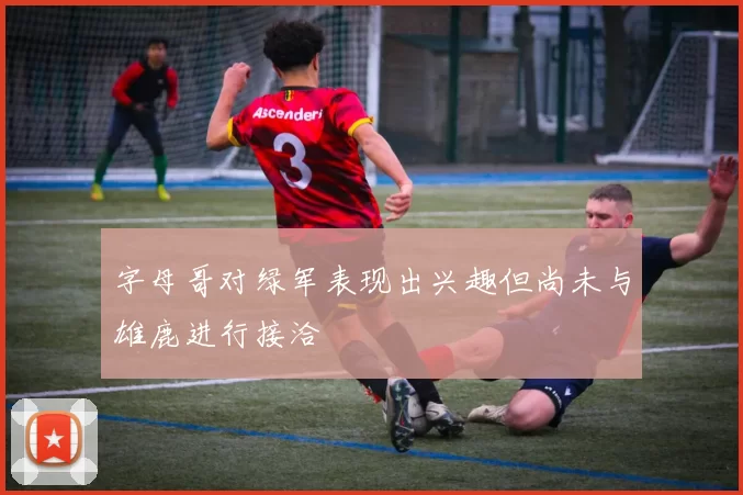 字母哥对绿军表现出兴趣但尚未与雄鹿进行接洽